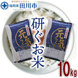 お米 福岡県産元気つくし 10kg お米