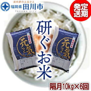 お米  【定期便/隔月】福岡県産元気つくし 10kg×6回  お米 