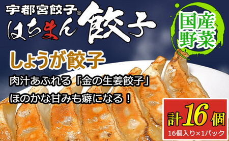 宇都宮餃子 はちまん餃子 しょうが餃子 16個 （16個入り×1パック/1個 22g） ｜ 宇都宮餃子 国産野菜 グルメ 宇都宮市 しょうが ぎょうざ ギョーザ 野菜 冷凍食品 冷凍餃子 焼き餃子 水餃子
