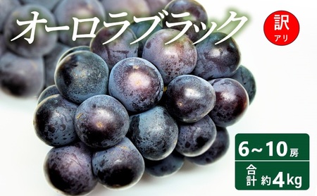 【2026年 先行予約】【訳あり品】オーロラブラック 6～10房 合計約4kg 常温配送 ぶどう 葡萄 フルーツ 果物 岡山 高梁市