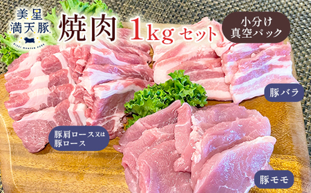 美星満天豚 焼肉 1.0kgセット（豚肩ロース又は豚ロース、豚バラ、豚モモ）小分け真空パック
