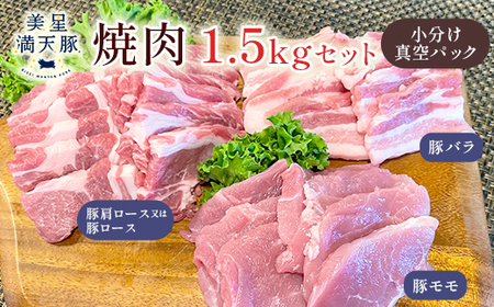 美星満天豚 焼肉 1.5kgセット（豚肩ロース又は豚ロース、豚バラ、豚モモ）小分け真空パック