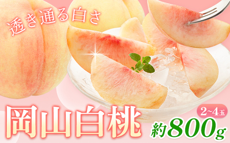 桃 岡山白桃 800g 株式会社藍 