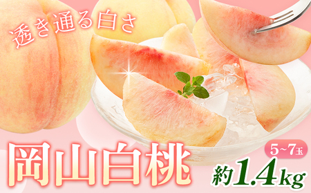 【2026年発送】桃 岡山白桃 約1.4kg 株式会社藍 