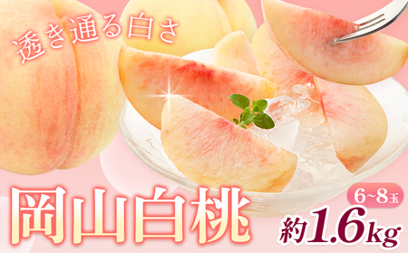 桃 岡山白桃 約1.6kg 株式会社藍 