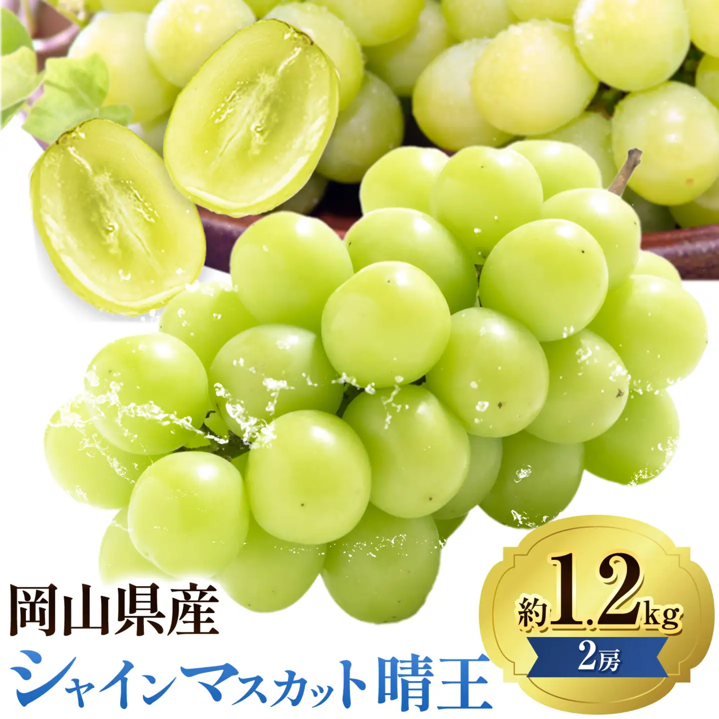 【先行予約】ぶどうシャインマスカット 晴王 約 1.2kg 2房 【配送不可地域あり】 株式会社藍《9月上旬-10月下旬頃出荷》 岡山県 浅口市 岡山県産 ぶどう フルーツ 果物 くだもの マスカット 送料無料
