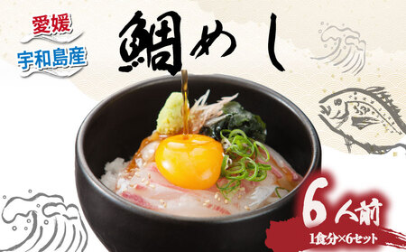 鯛めし 6食 有限会社 アクアプラス 簡単 簡単 D020-090004