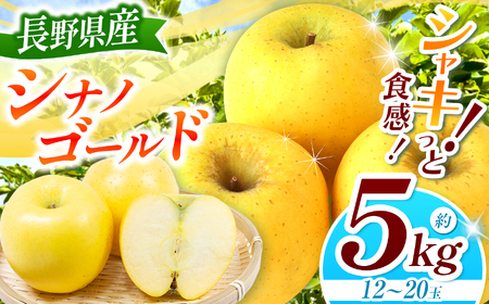 シナノゴールド 約5kg 【2026年先行予約】 ｜ 浅野農園