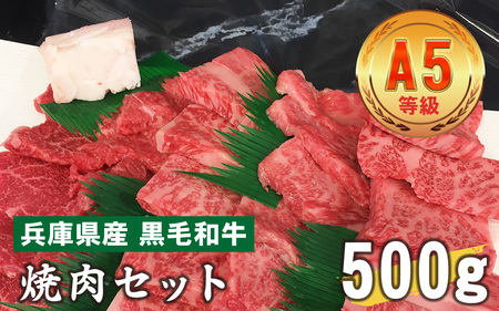 兵庫県産 黒毛和牛  焼肉セット 500g