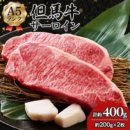 但馬牛 A5 サーロイン 2枚【配送不可地域：離島】【1584775】
