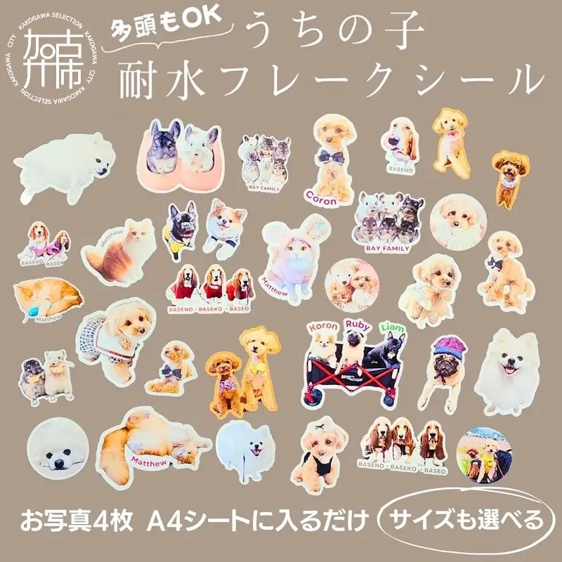 うちの子耐水フレークシール《 犬 猫 ペット シール フレークシール 耐水 オリジナル セミオーダー かわいい おすすめ 》【2400N13316】