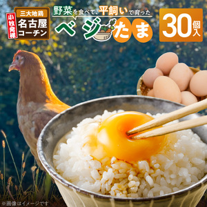 【医師監修】野菜を食べて育った平飼いの卵「名古屋コーチン ベジたま」（30個入り）[154T01]
