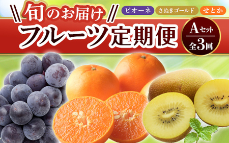 【フルーツ定期便 3回】 《ピオーネからスタート》 Aセット ピオーネ 約1.2kg さぬきゴールド 約2.7kg せとか 約5kg ぶどう キウイ キウイフルーツ みかん 柑橘 旬 果物 国産 香川県 フルーツ定期便 F5J-793