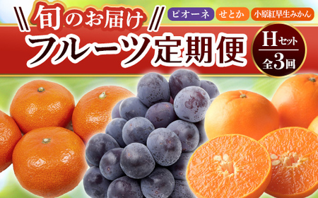 【フルーツ定期便 3回】 《ピオーネからスタート》 Hセット ピオーネ 約1.2kg 小原紅早生みかん 約4.5kg せとか 約5kg ぶどう みかん 柑橘 旬 果物 国産 香川県 フルーツ定期便 F5J-800