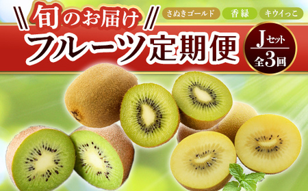 【フルーツ定期便 3回】 《さぬきゴールドからスタート》 Jセット さぬきゴールド 約2.7kg 香緑 約3.0kg キウイっこ 約1.8kg キウイ キウイフルーツ 旬 果物 国産 香川県 フルーツ定期便 F5J-802
