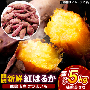 訳あり さつまいも 紅はるか 約5kg さつまいも