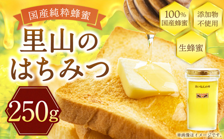 はちみつ 250g 蜂蜜 ハチミツ 蜜 みつ ミツ 常温 国産 愛媛県 【えひめの町（超）推し！（愛南町）】【2026年5月下旬から順次発送予定】（328）