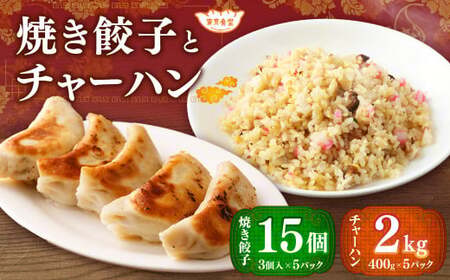 東京食堂のチャーハンと焼き餃子（各5パック）合計10パック 2種 セット 冷凍 餃子 ぎょうざ ギョウザ 炒飯