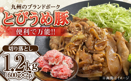 【お中元対象】大分県日田産 とびうめ豚 切り落とし 1.2kg / 豚肉 切り落とし 大分 冷凍  [ARCM004]
