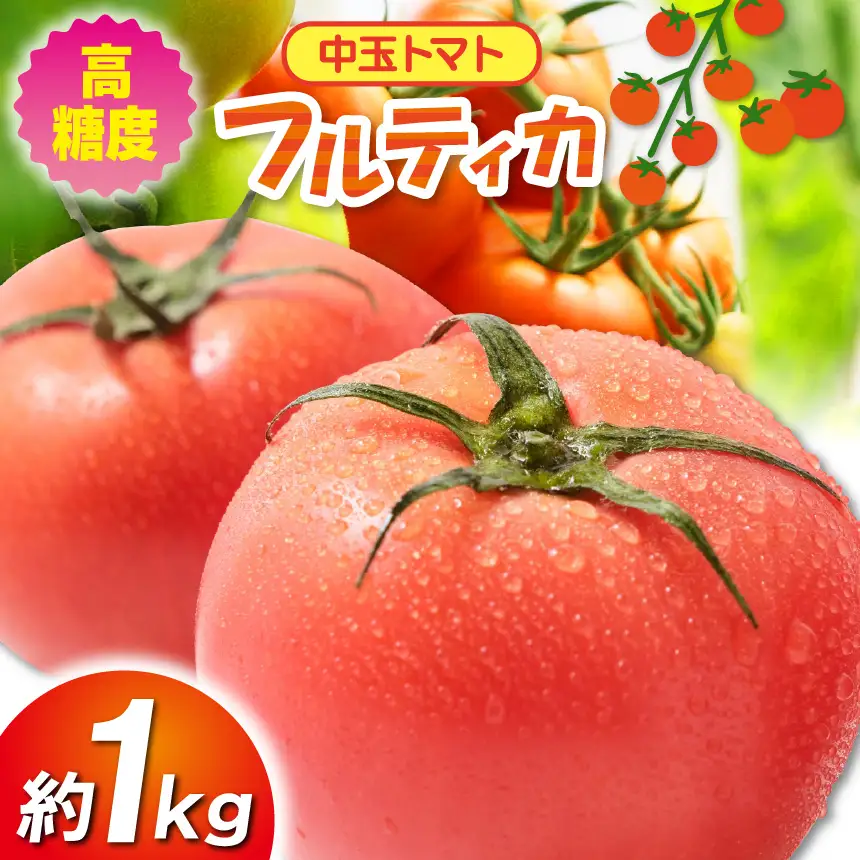 高糖度 中玉トマト 約1kg | 小林園芸 フルティカ 野菜 トマト ミニトマト とまと 調布 東京都 