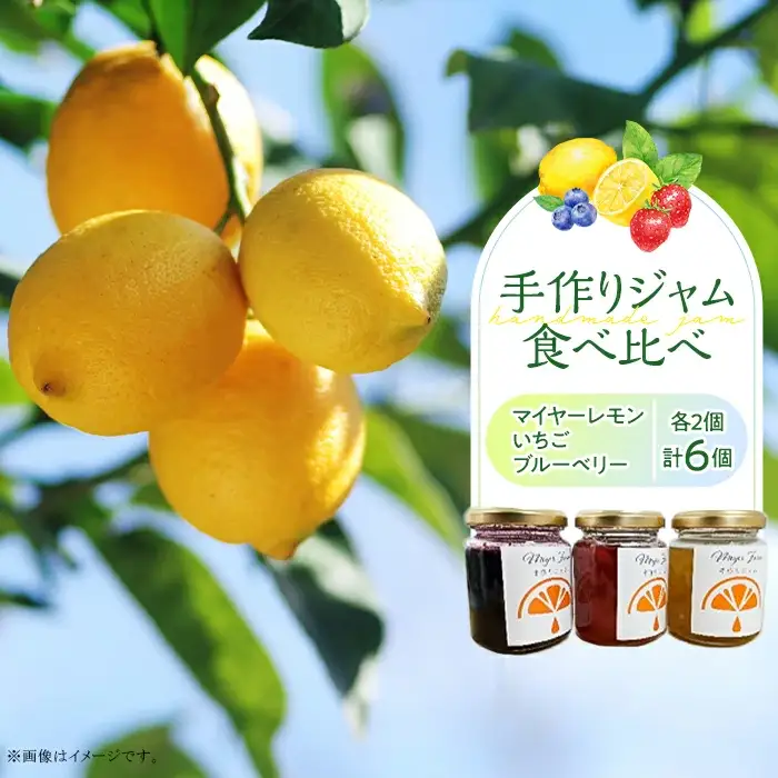 無添加 手作りジャム 6個 食べ比べ (いちご ブルーベリー マイヤーレモン 各2個入り）