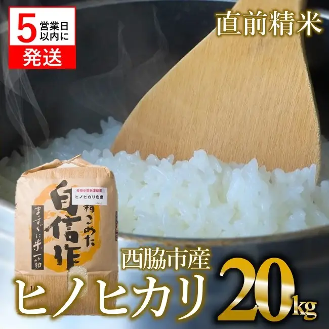 【ヒノヒカリ】令和７年産 白米20kg【5営業日以内に発送】