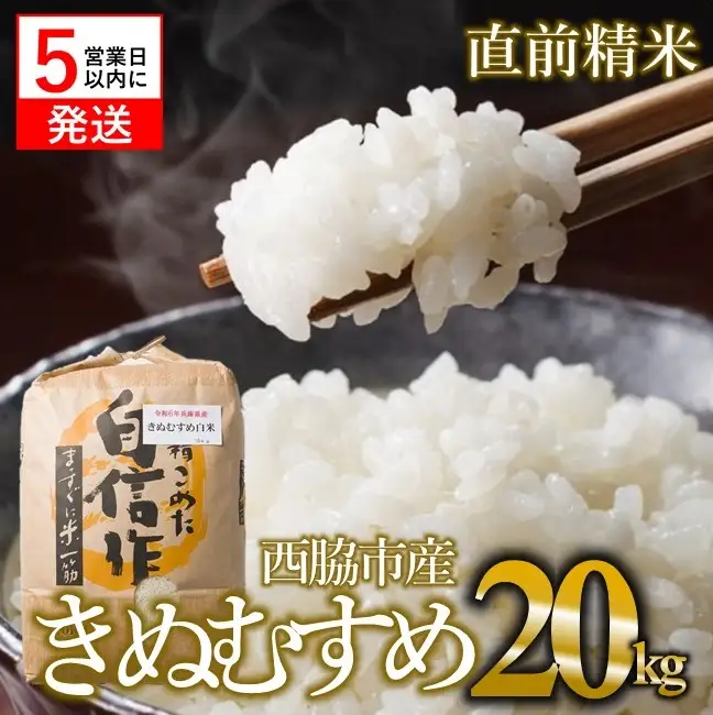 【きぬむすめ】令和7年産 白米20kg【5営業日以内に発送】