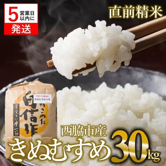 【きぬむすめ】令和７年産 白米30kg【5営業日以内発送】
