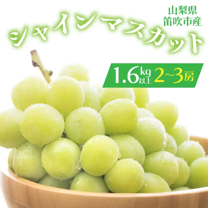 【2026年発送★先行予約】シャインマスカット 2-3房入り 1.6kg以上 1箱　164-005-26y