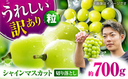 【先行予約】 訳あり シャインマスカット 切り落とし 約700g  【合同会社 社方園】[ZBZ038]