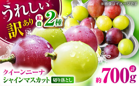 【先行予約】 訳あり 紅白ぶどう2種（シャインマスカット＆クイーンニーナ）食べ比べ 切り落とし 計約700g  【合同会社 社方園】[ZBZ042]