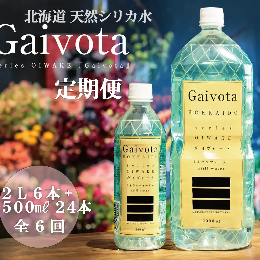 ＜定期便　Gaivota2箱（500ml×24本＋2L×6本）×６回分＞北のハイグレード食品 天然シリカ水 シリカ水 ミネラルウォーター シリカウォーター 軟水  北海道 乙部町 天然水 美容 ケイ素 無添加  シリカ ガイヴォータ 美肌 ミネラル リピーター 6か月 備蓄 災害用 非常用