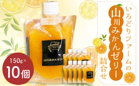 A281 いろどりファーム・山川みかんゼリー詰合せ（150g×10個入り） ゼリー みかん フルーツゼリー 飲むゼリー スイーツ デザート  濃厚