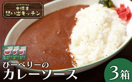 中標津 想い出キッチン　「ぴーべりーのカレーソース」３箱【3202202】