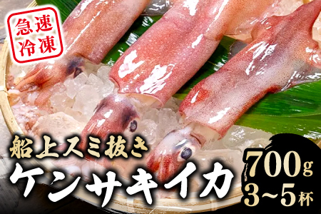 船上スミ抜きケンサキイカ 700g以上（3～5杯）【いか 剣先いか 700g以上 烏賊 イカ ケンサキイカ 贅沢 刺身 おかず おつまみ お酒 冷凍 地物 天然物 新鮮 真空パック 旨い 海産物 魚介類 獲れたて】