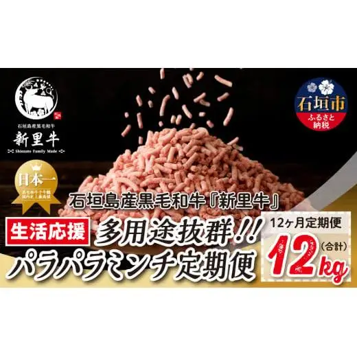 石垣島産 黒毛和牛 新里牛 パラパラミンチ 定期便全12回（毎月1kg×12回）合計12kg SZ-47