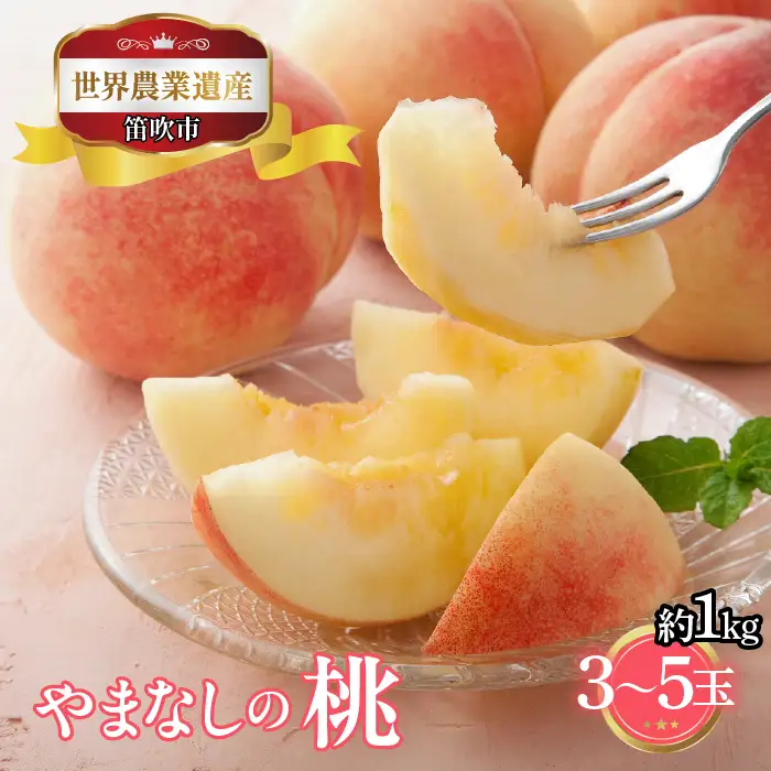 【2026年発送★先行予約】山梨県笛吹市産　桃　約1kg　3玉～5玉 223-012-26y