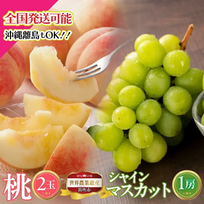 【2026年発送★先行予約】山梨県笛吹市産　桃2玉・シャインマスカット1房のセット　約1kg 223-014-26y