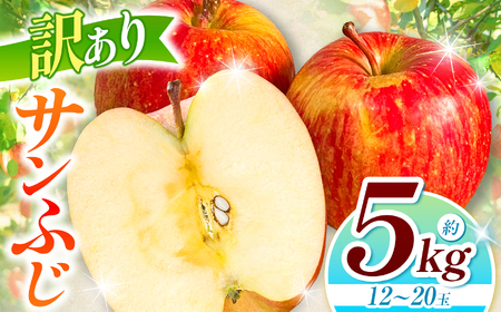 訳あり サンフジ 約5kg 【2026年先行予約】 | 浅野農園