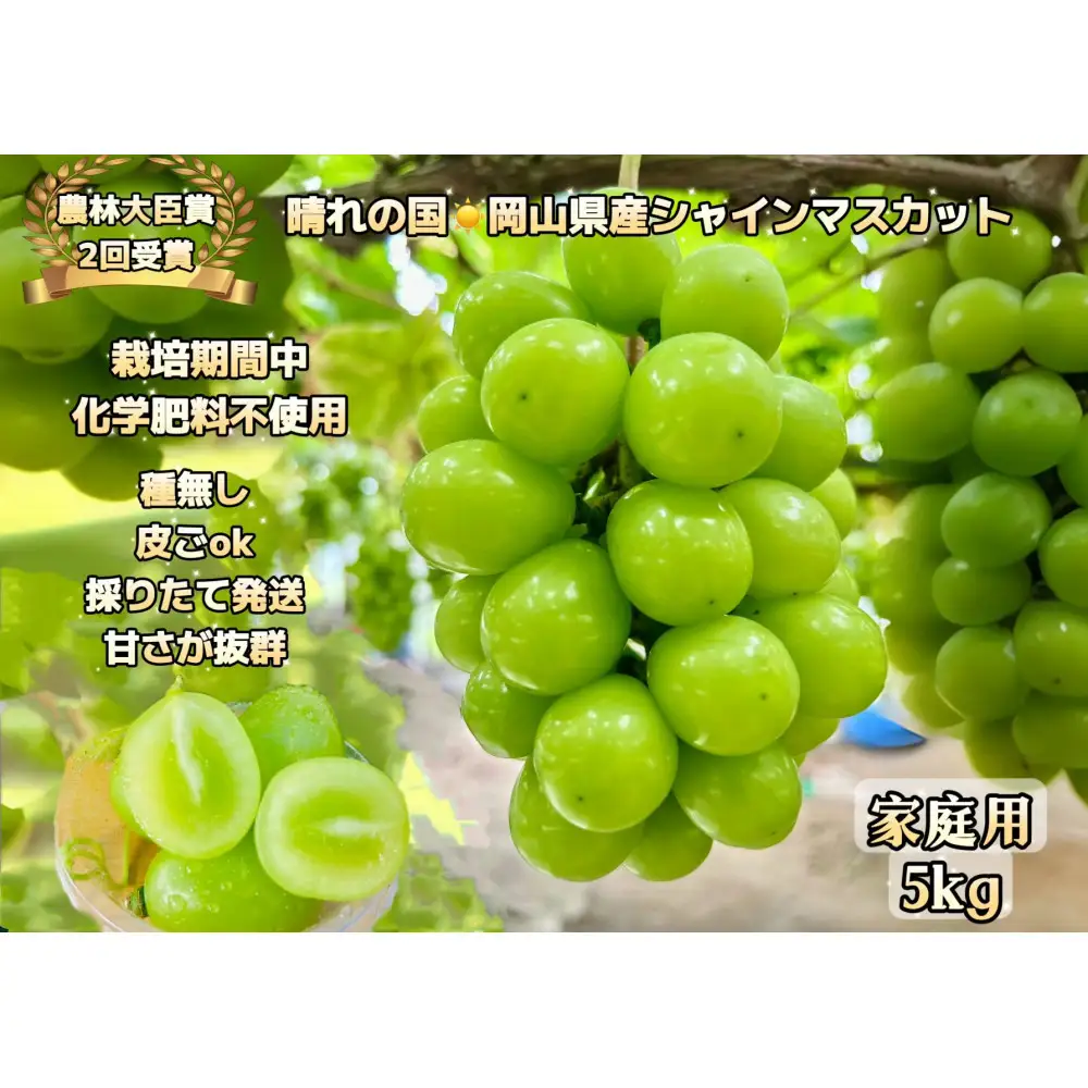 ぶどう 2026年  シャインマスカット 家庭用  約5kg  家庭用 ギフト 農林大臣賞2回受賞 贈り物 岡山 果物 フルーツ  採りたて発送 農家直送 数量限定 新鮮  訳あり7月中旬から発送