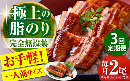 【3回定期便】高知県産 うなぎ蒲焼き 約90g×2尾 タレ付き 【株式会社 四国健商】[ATAF146]