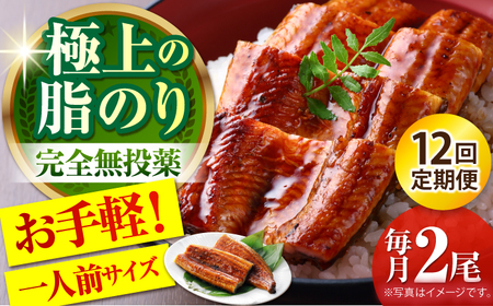 【12回定期便】高知県産 うなぎ蒲焼き 約90g×2尾 タレ付き 【株式会社 四国健商】[ATAF148]