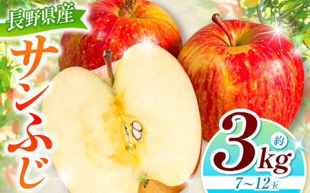 サンフジ 約3kg 【2026年先行予約】 | 浅野農園