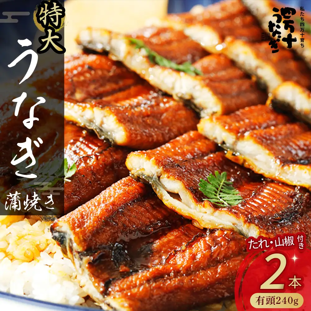 うなぎ蒲焼 【有頭】特大240g（2本入り） 冷凍 たれ付き 国産鰻 土用の丑の日 うなぎ 蒲焼き Esu-205