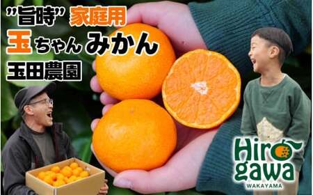 有田 みかん 旨時 体に優しい玉ちゃんみかん 10kg / 温州みかん 有田みかん 甘い 和歌山 柑橘 ※2026年12月初旬～2027年2月中旬に順次発送 【tmd004-cu-10A】