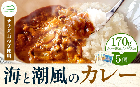 海と潮風のカレー 850g (170g × 5個) ゆいやわす《30日以内に出荷予定(土日祝除く)》