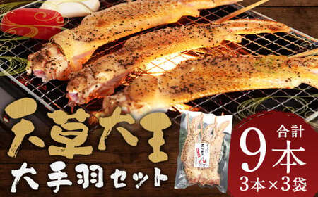 熊本 天草大王 大手羽9本（3本×3） 手羽 鶏肉 肉 鶏 地鶏 バーベキュー 串 国産 冷凍 熊本県 人吉市