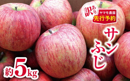 訳あり サンふじ 約5kg 【2026年先行予約】 | ヤマモ農園