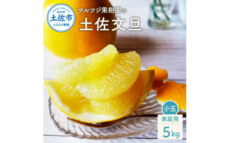 【先行予約】マルツジ果樹園の土佐文旦 家庭用(小玉) 約5kg 5キロ M~Lサイズ 12~17個入り〈2027年2月1日から3月31日頃発送〉 ぶんたん ブンタン フルーツ 柑橘 みかん 果物 くだもの 柑橘類 デザート お取り寄せ【マルツジ果樹園】[BQAN009]