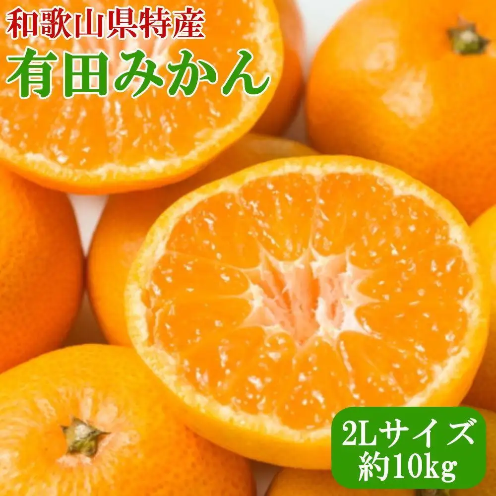 ［秀品］ 和歌山有田みかん 約10kg 2Lサイズ 2026年11月中旬頃より順次発送